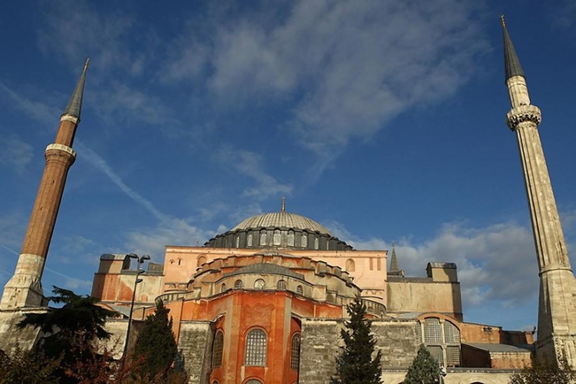 Dueño peludo de Hagia Sophia