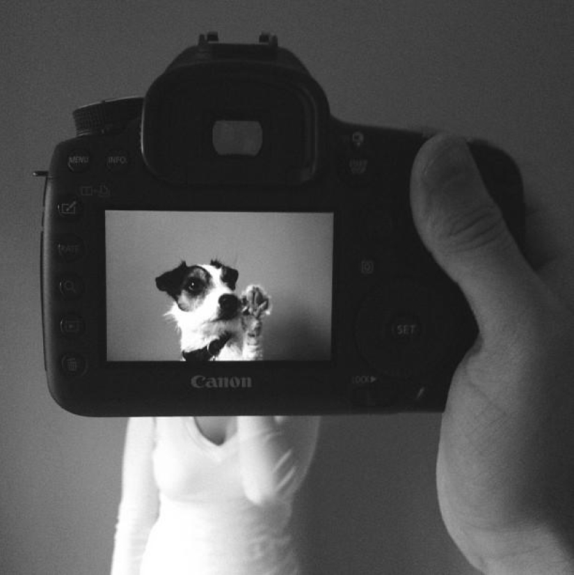 Dueños de mascotas y sus mascotas en un peculiar proyecto fotográfico #petheadz