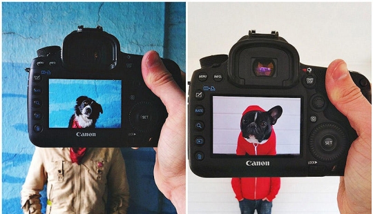 Dueños de mascotas y sus mascotas en un peculiar proyecto fotográfico #petheadz Dueños de mascotas y sus mascotas en un peculiar proyecto fotográfico #petheadz