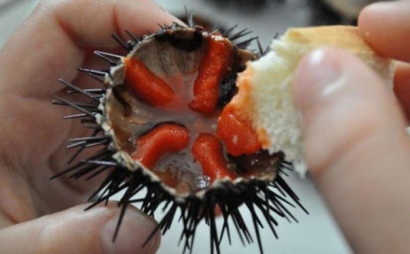 Eat the living: 10 of the most sadistic dishes in the world