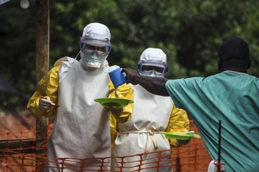 Ebola virus: the world is in a fever