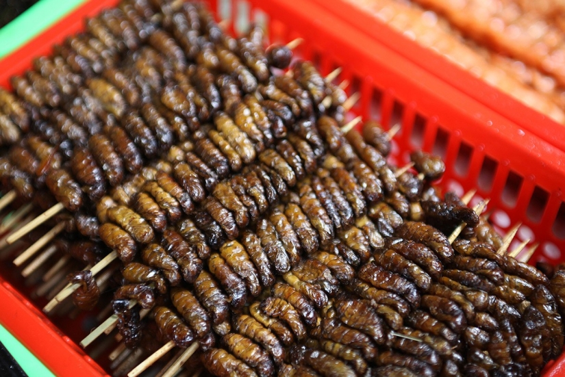 Edible "Inedible" Rating: 6 most disgusting delicacies from Asia