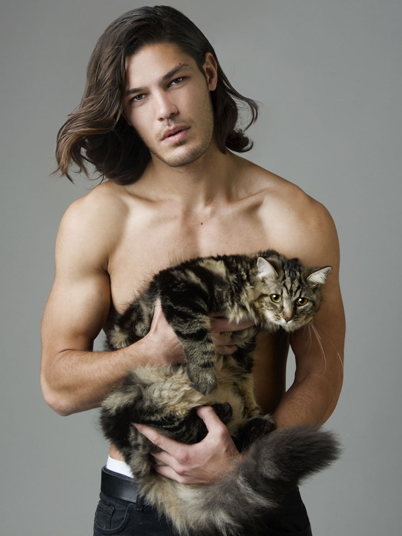 Efecto combinado: fotógrafo toma fotos hipnotizantes de bellezas semidesnudas con gatos