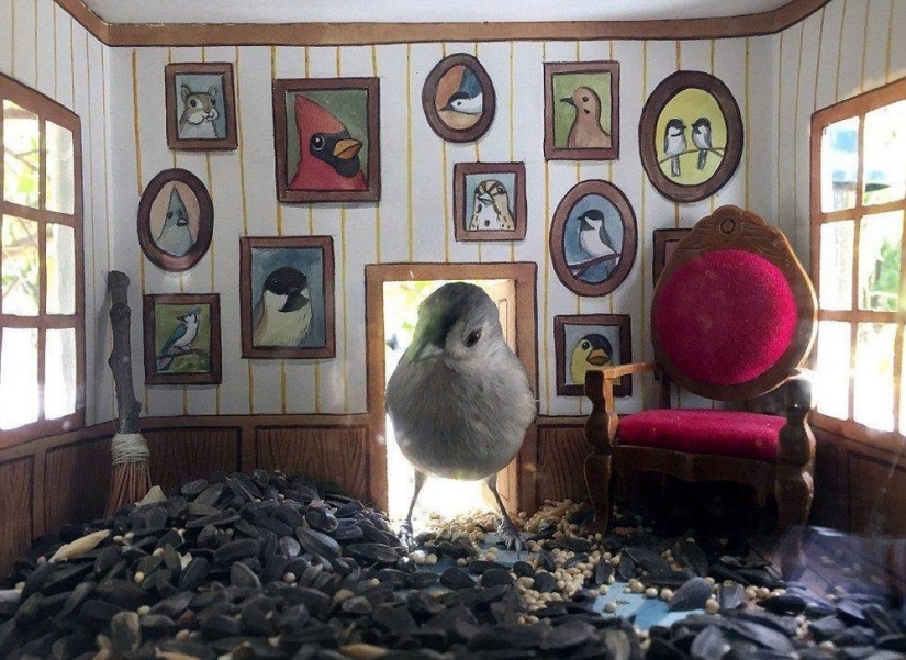 El artista hace lindas casas para pájaros