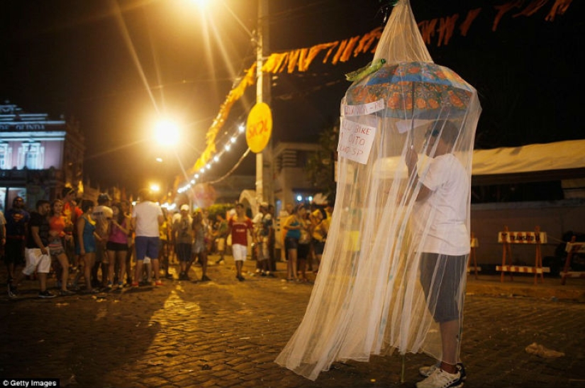 El espectáculo debe continuar - Arrancó el Carnaval 2016 en Río de Janeiro