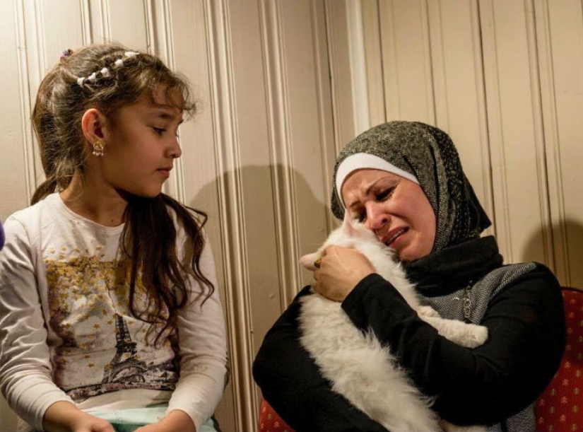 El gato perdido regresa a la familia de refugiados iraquíes después de viajar por medio mundo