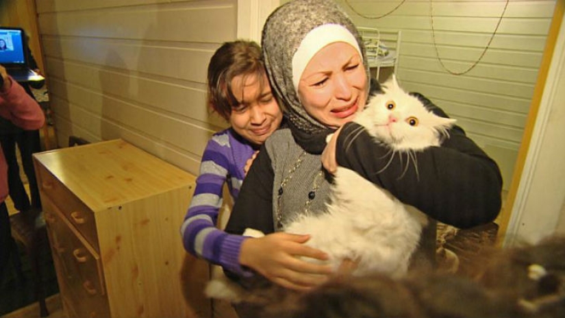 El gato perdido regresa a la familia de refugiados iraquíes después de viajar por medio mundo