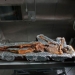El "Hombre de Hielo" es la momia más antigua encontrada en Europa