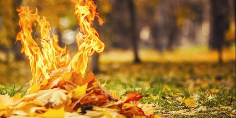 El humo de la Patria: la quema habitual de hojas resultó ser más peligrosa que fumar