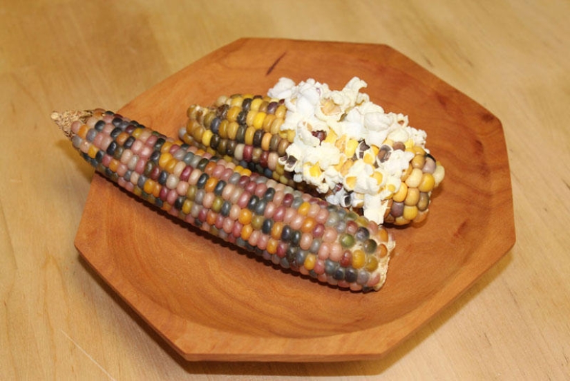 El maíz más inusual del mundo.