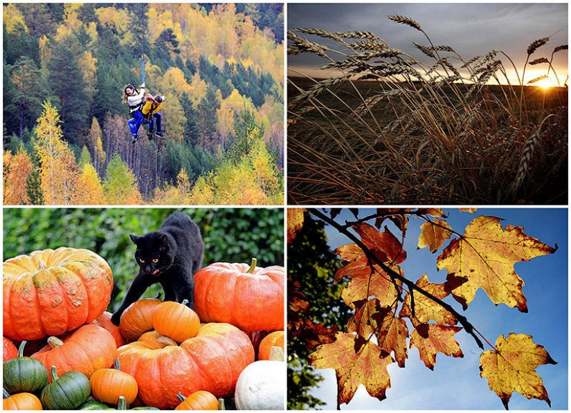 El otoño está en el aire