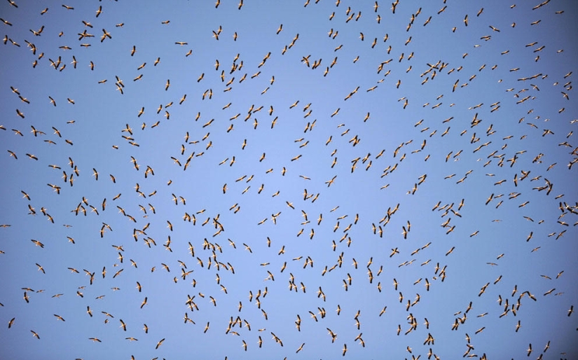 El otoño está en el aire