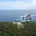 El Parque Nacional de Tasmania ofrece a cualquier pareja un hogar y un trabajo: cuide de la isla