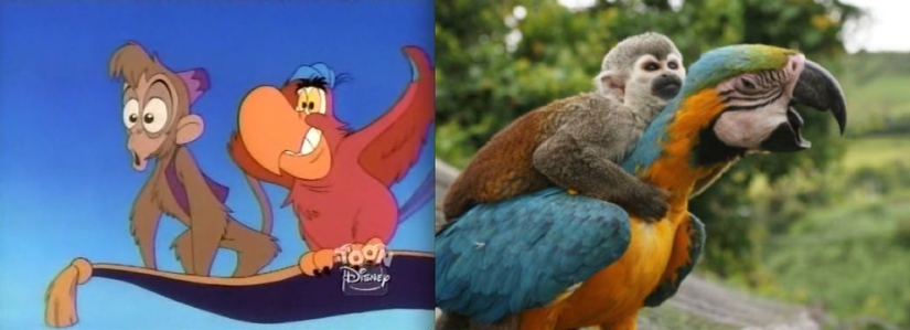 El pato Donald y otros 20 animales de Disney en la vida real