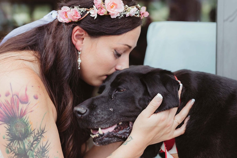 El perro moribundo vivió para ver la boda de su amada amante