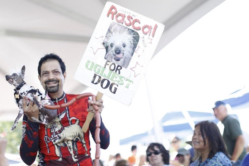 El perro más feo del mundo en 2014