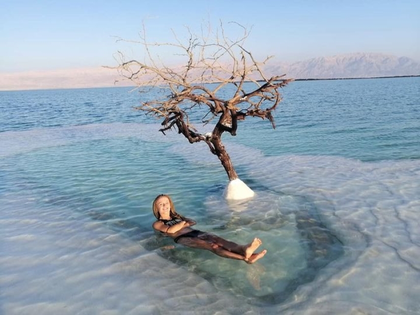El Árbol de la Vida: el secreto de una planta solitaria en medio del Mar Muerto