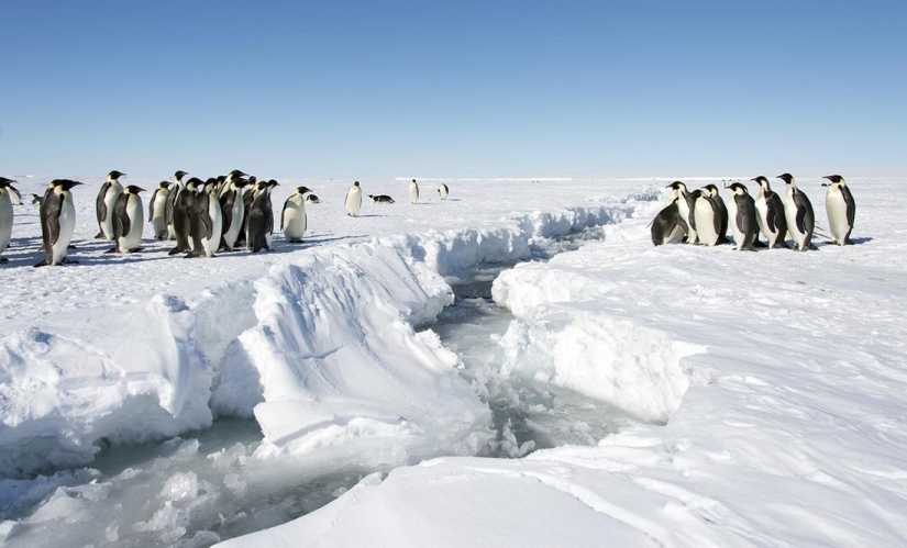 El "refrigerador" de la Tierra. Hechos increíbles sobre la misteriosa y áspera Antártida