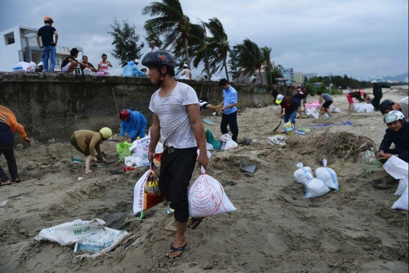 El tifón Haiyan se cobró la vida de más de 10 mil personas