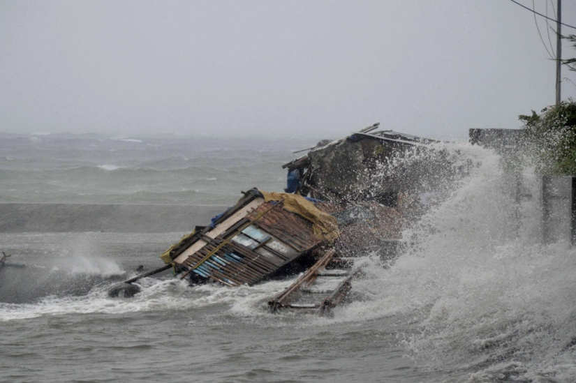 El tifón Haiyan se cobró la vida de más de 10 mil personas