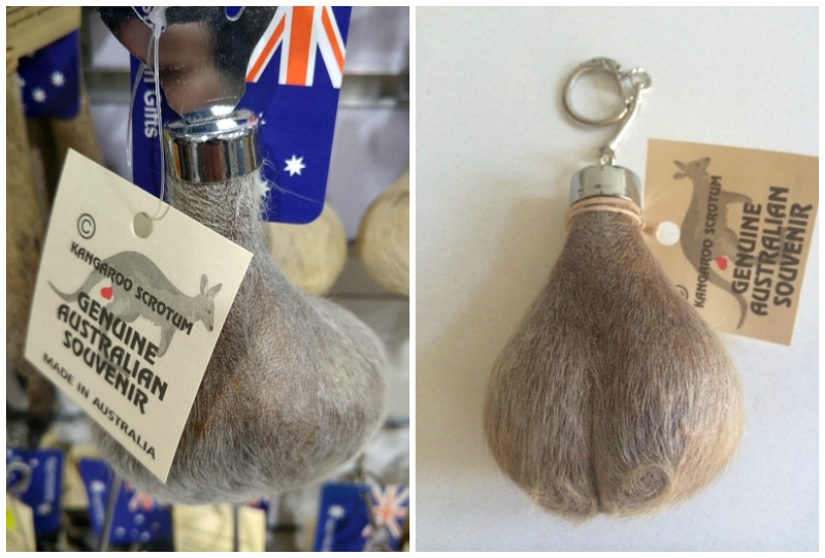 Elephant dung beer and kangaroo scrotum: The 9 strangest souvenirs