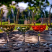 Elixir de los dioses: 36 datos interesantes sobre el vino