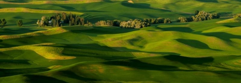 Emerald Hills of Palouse