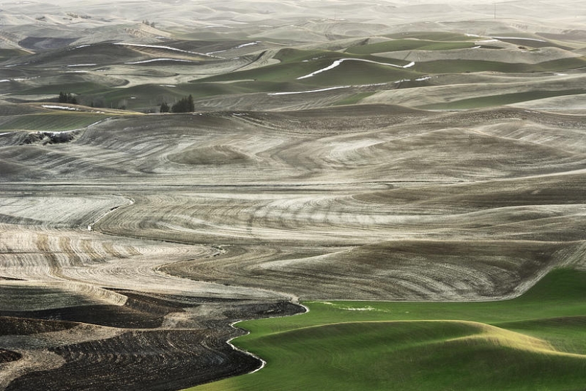 Emerald Hills of Palouse