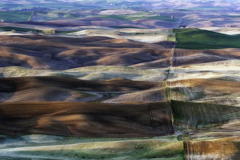 Emerald Hills of Palouse