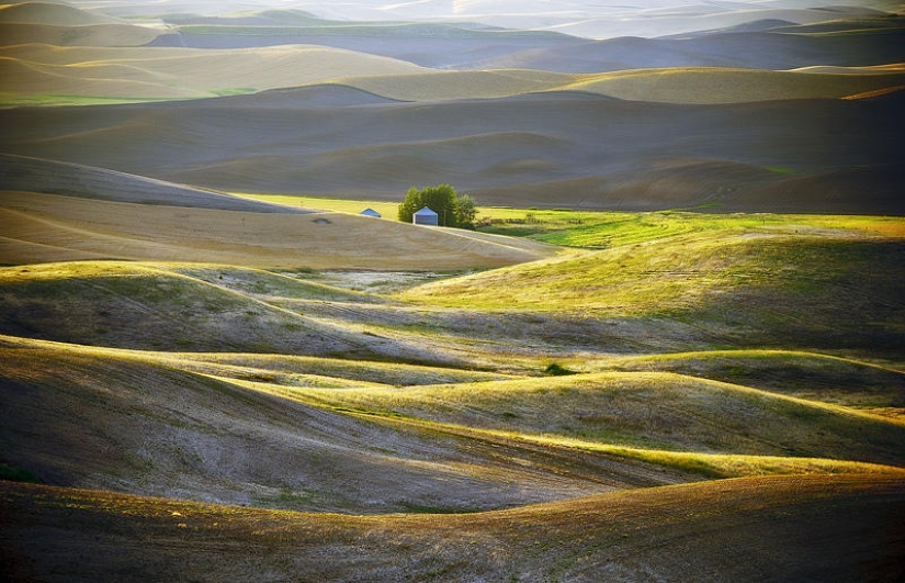 Emerald Hills of Palouse