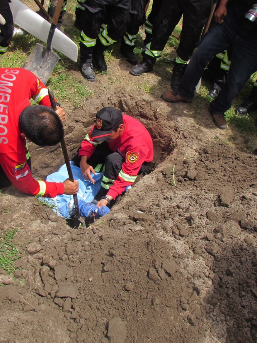 En Ecuador, el perro rescató a 7 personas de los escombros y murió por deshidratación
