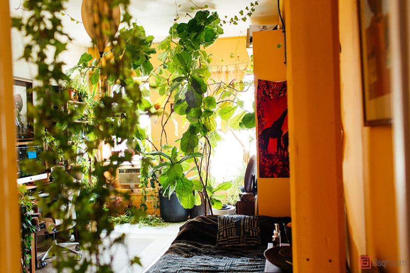 En la jungla urbana: una modelo de Nueva York cultiva más de 500 plantas en un apartamento