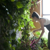 En la jungla urbana: una modelo de Nueva York cultiva más de 500 plantas en un apartamento