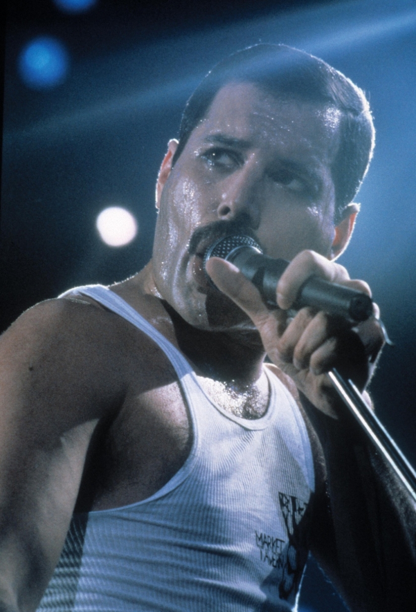 En memoria de Freddie Mercury