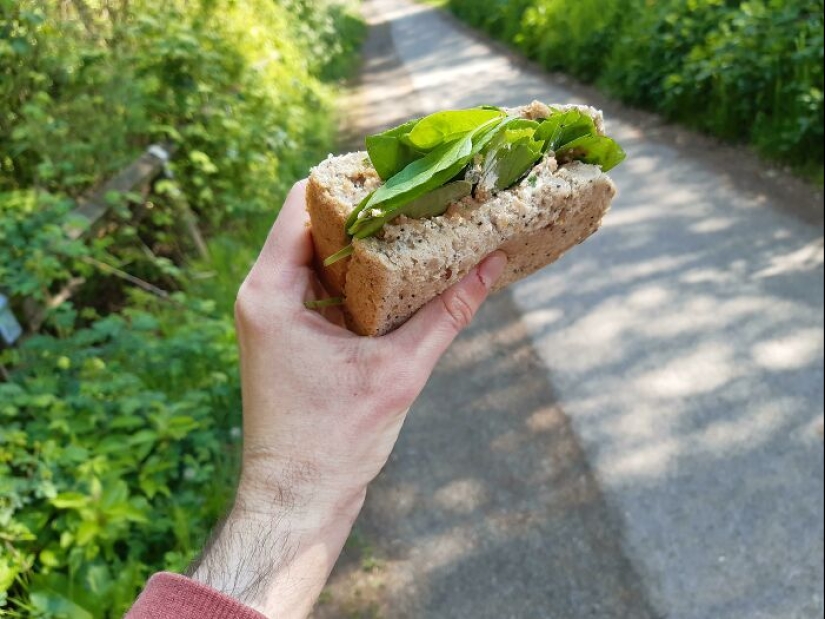“En realidad no sabemos qué son los sándwiches”: 15 fotografías del grupo dedicado a los sándwiches