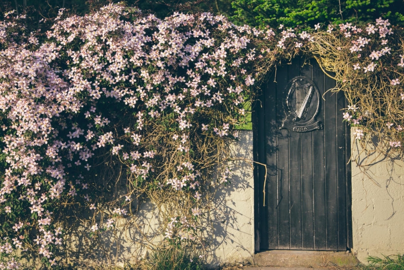 Entertaining geography - doors in different parts of Europe