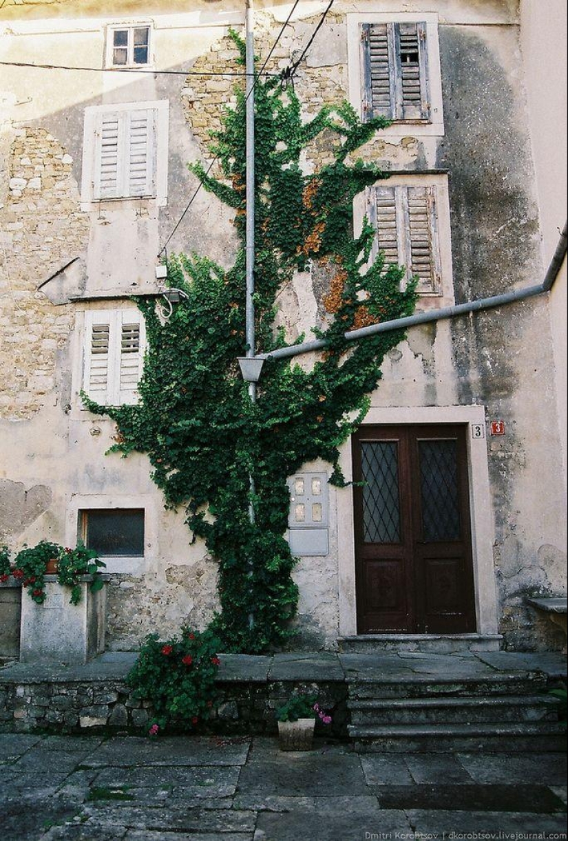 Entertaining geography - doors in different parts of Europe