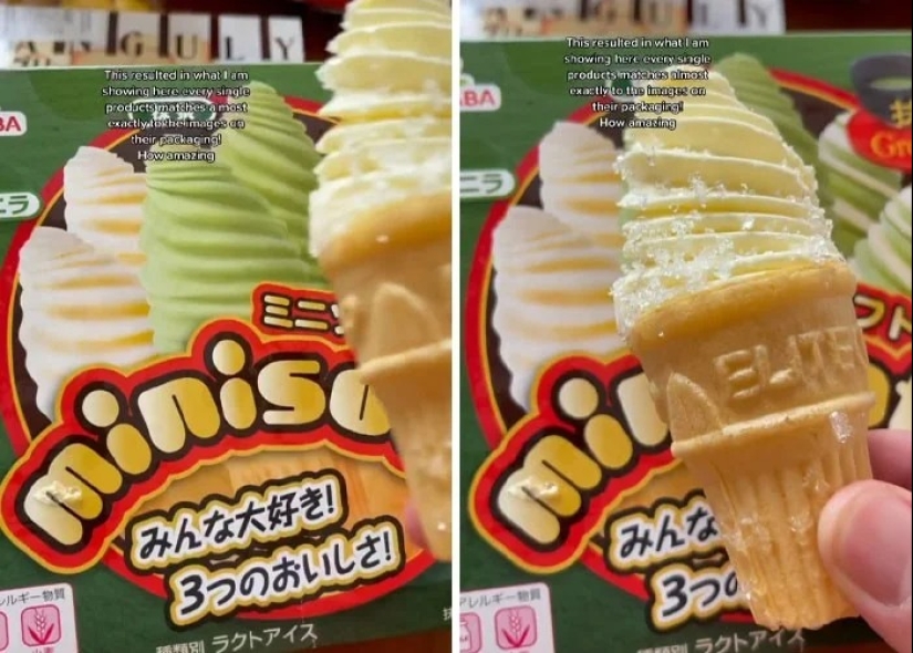 Envases y alimentos: 30 ejemplos de Japón donde las expectativas se encuentran con la realidad