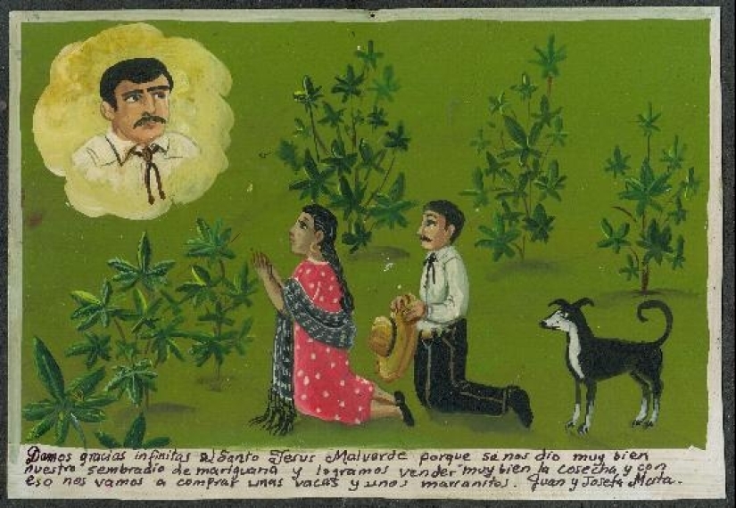 "Envió una buena cosecha de marihuana": lo que los mexicanos agradecen a los santos