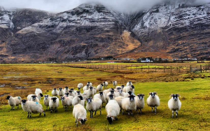 Escocia mágica en diferentes épocas del año