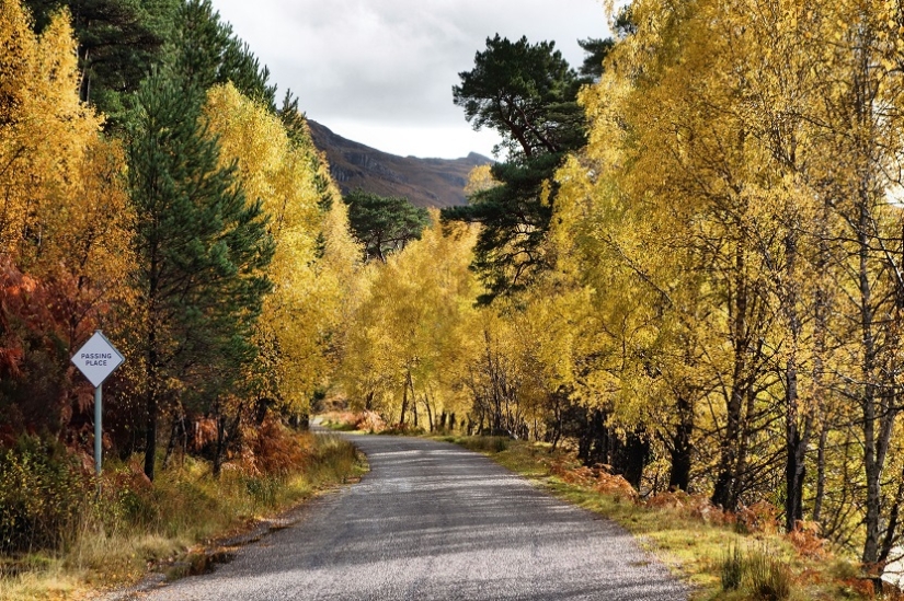 Escocia mágica en diferentes épocas del año