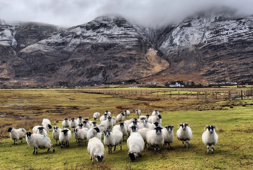 Escocia mágica en diferentes épocas del año