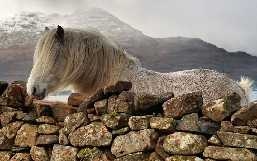 Escocia mágica en diferentes épocas del año