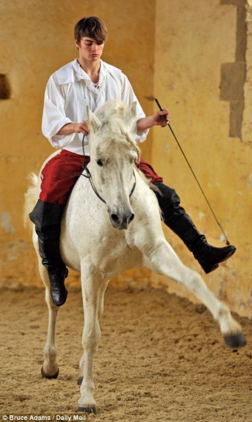 escuela de ballet para caballos