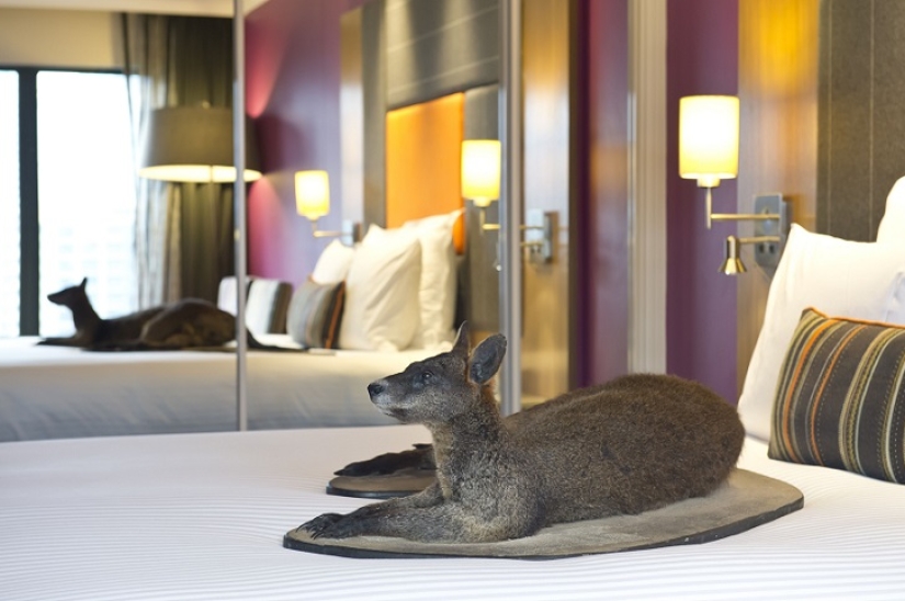 Espeluznante: hotel espantapájaros en Sydney