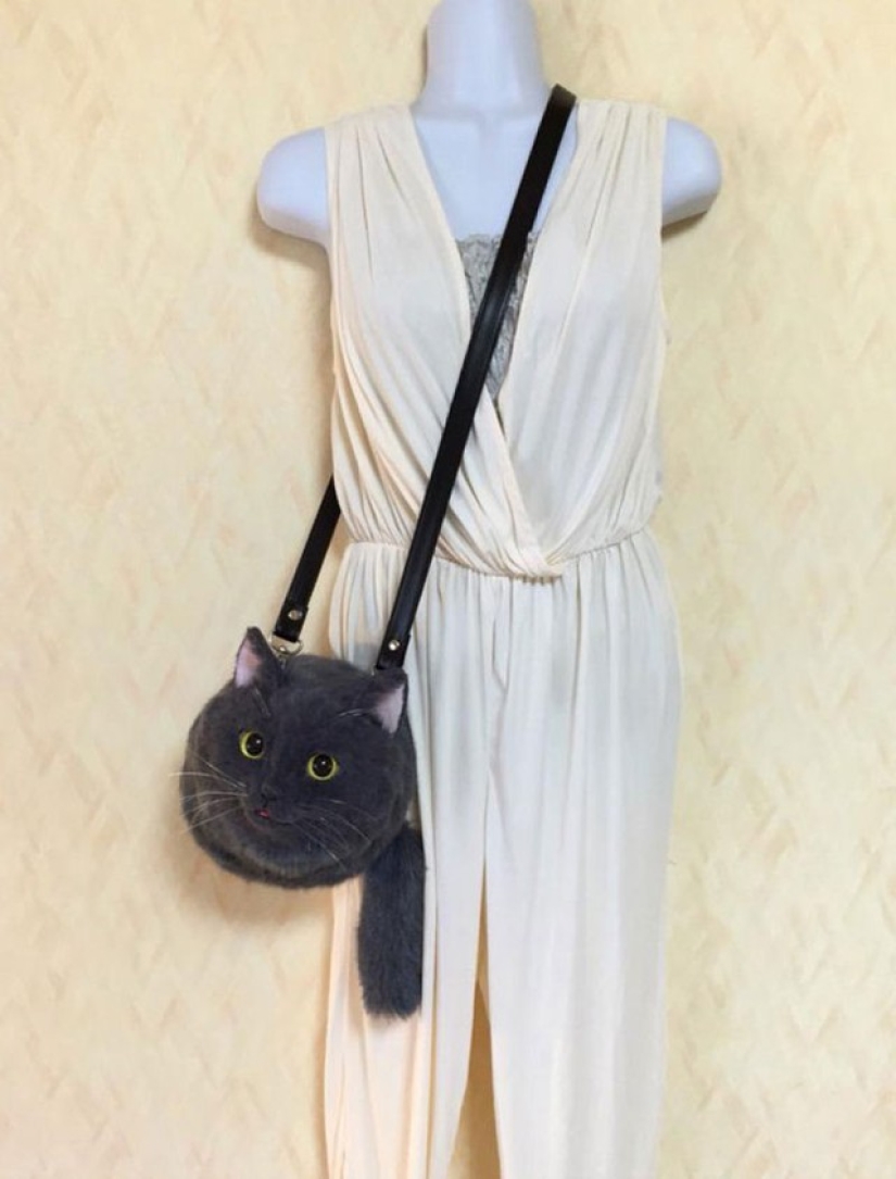 ¿Espeluznante o lindo? Los bolsos para gatos son una nueva tendencia en Japón