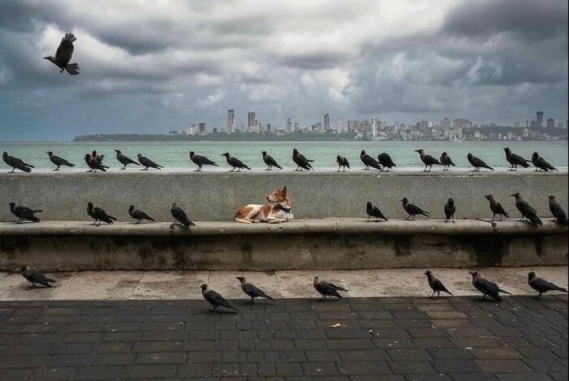 Esta cuenta de Instagram continúa compartiendo fotos callejeras muy divertidas; Aquí están sus 19 más nuevos