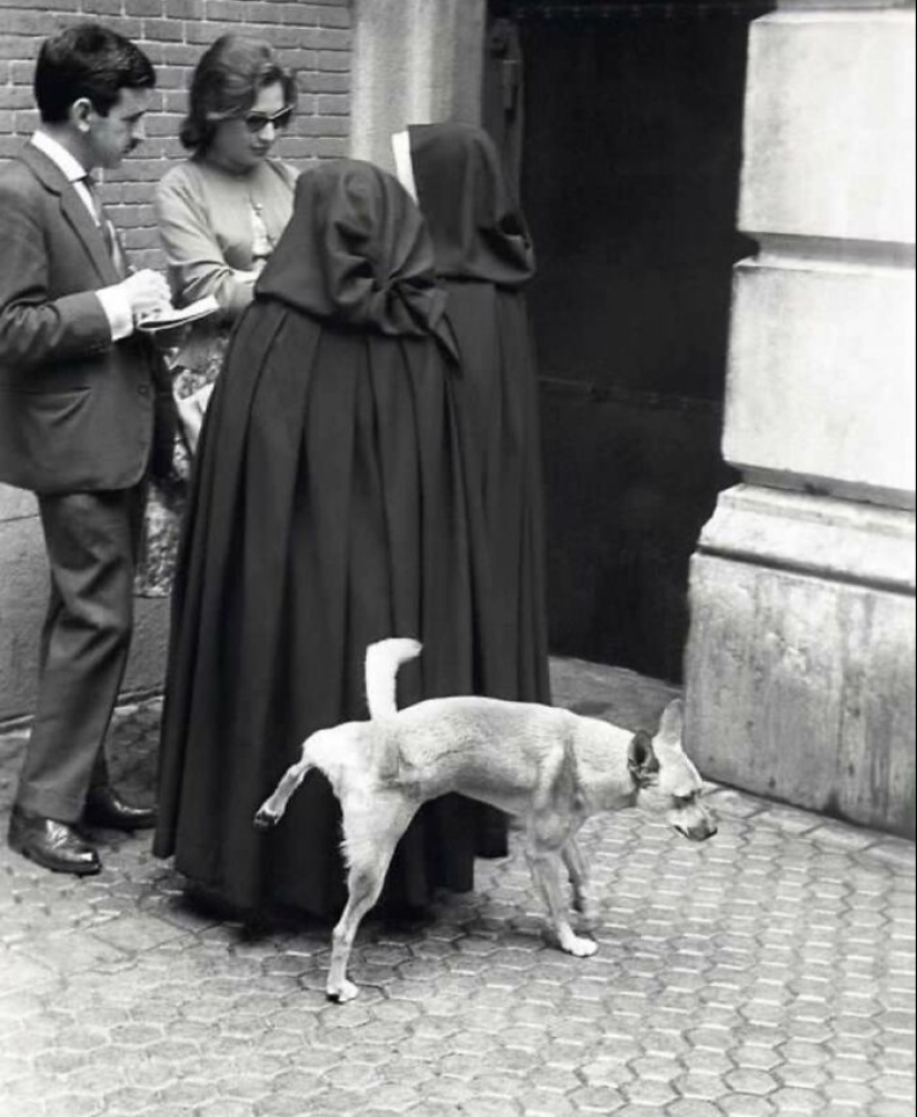 Esta cuenta de Instagram continúa compartiendo fotos callejeras muy divertidas; Aquí están sus 19 más nuevos