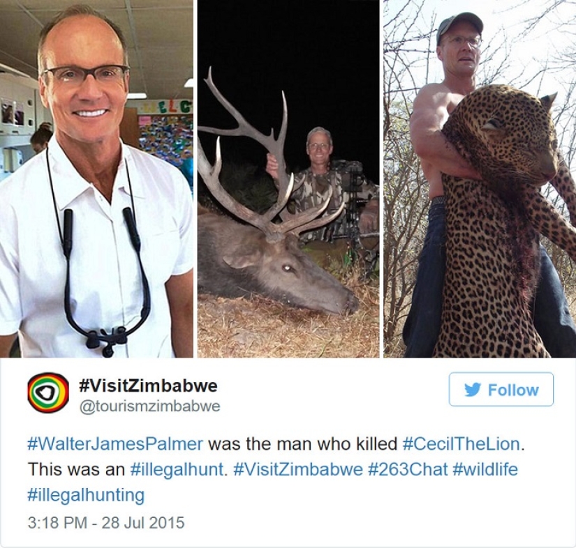 Estadounidense que mató a un famoso león causó furor en Internet y cerró su consultorio dental