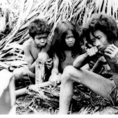 Estafa del Siglo: Una historia sobre una Tribu que Nunca Existió